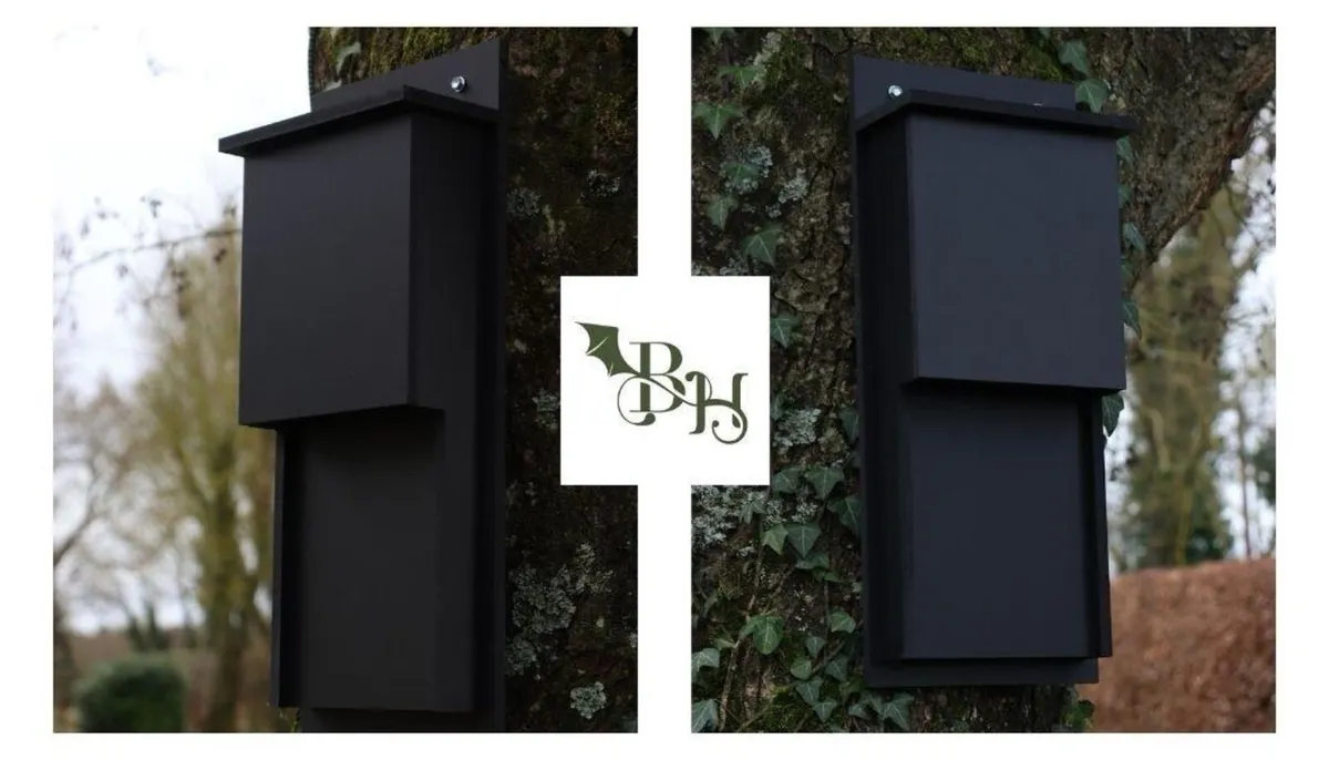 Bat box - Image 2