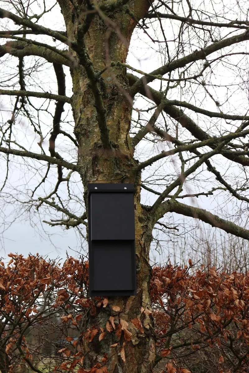 Bat box - Image 4