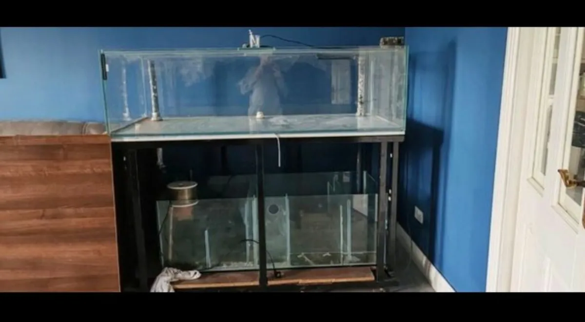 Peninsula fish tank - Image 3