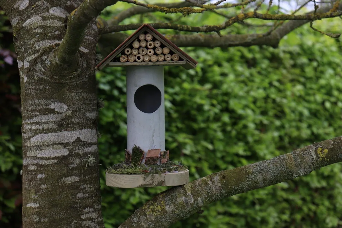 Bug hotel - Image 1