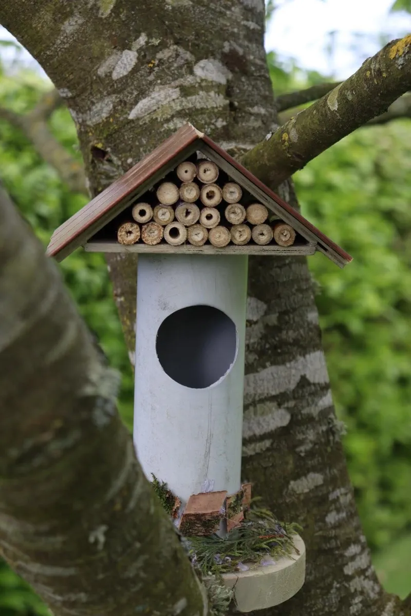 Bug hotel - Image 4