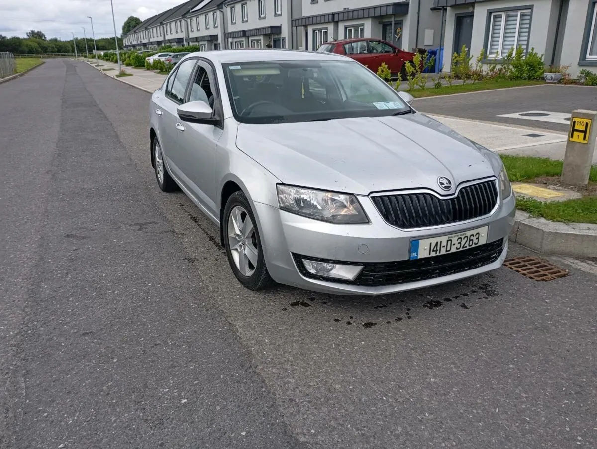 Skoda Octavia TDI 141 - Image 1
