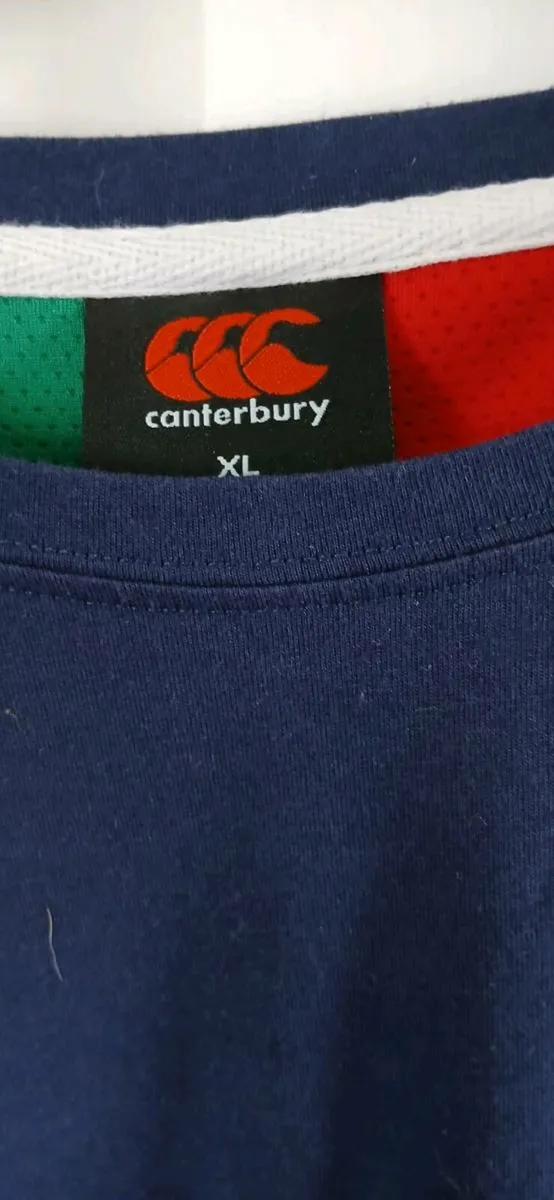 British And Irish Lions Rugby Jersey 2017 - Image 2