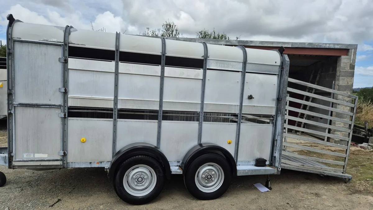 Ifor Williams  12 x 6  cattle trailer - Image 3