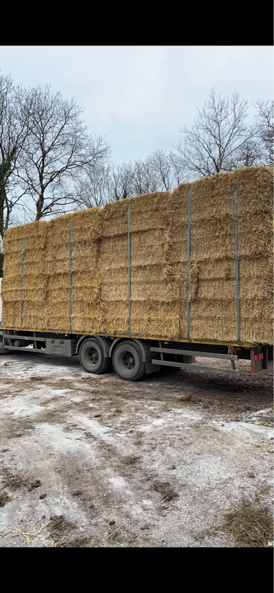 8x4x3 Straw and hay - Image 1