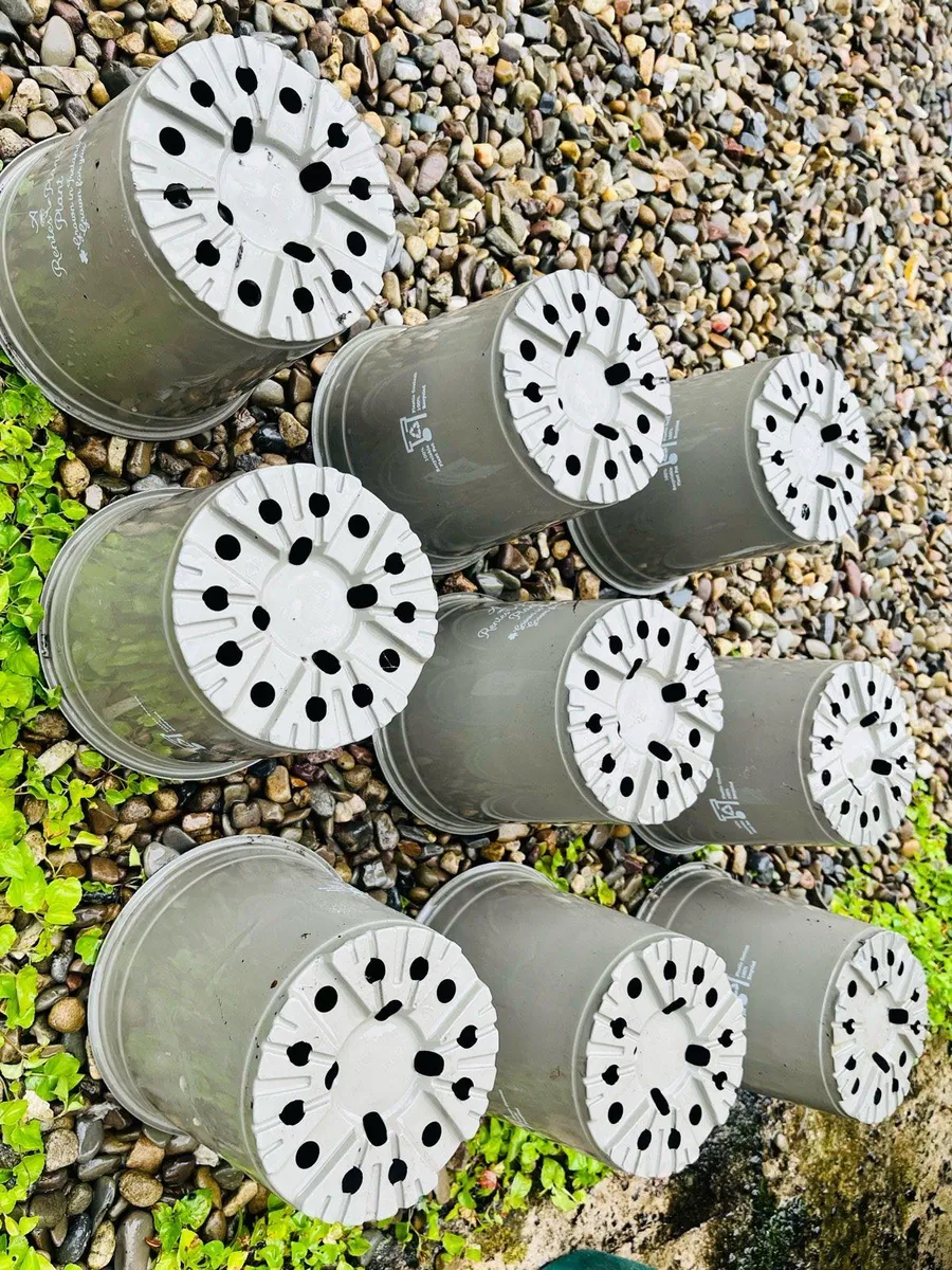 Pots for plants - Image 3