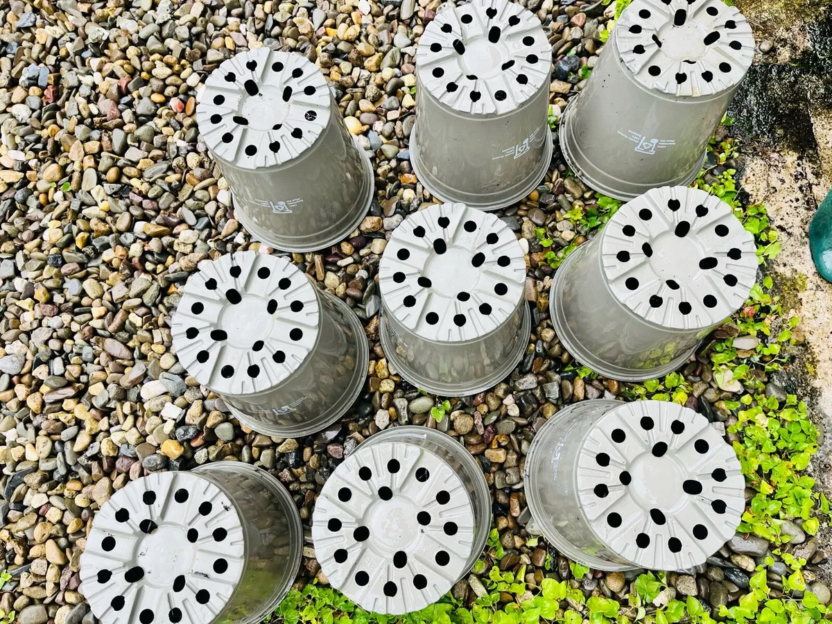 Pots for plants - Image 2