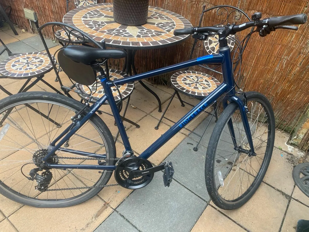 Bike Ridgeback -  Size XL (21”) - Image 1