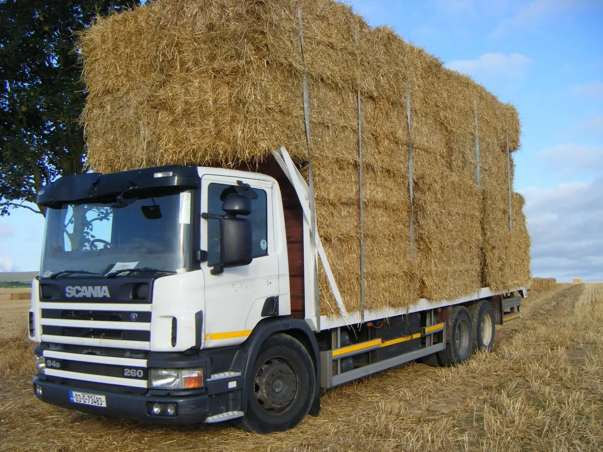 Straw and Hay - Image 1