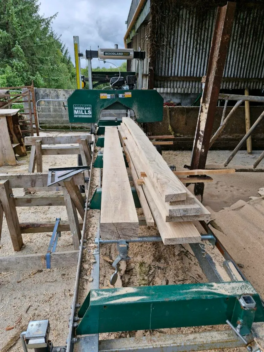 Ash boards different sizes - Image 1