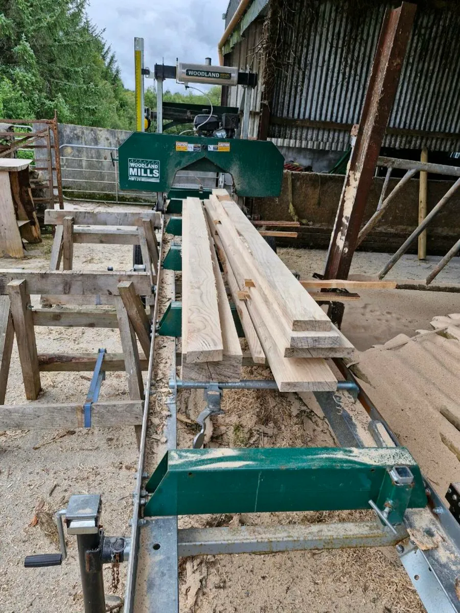 Ash boards different sizes - Image 2