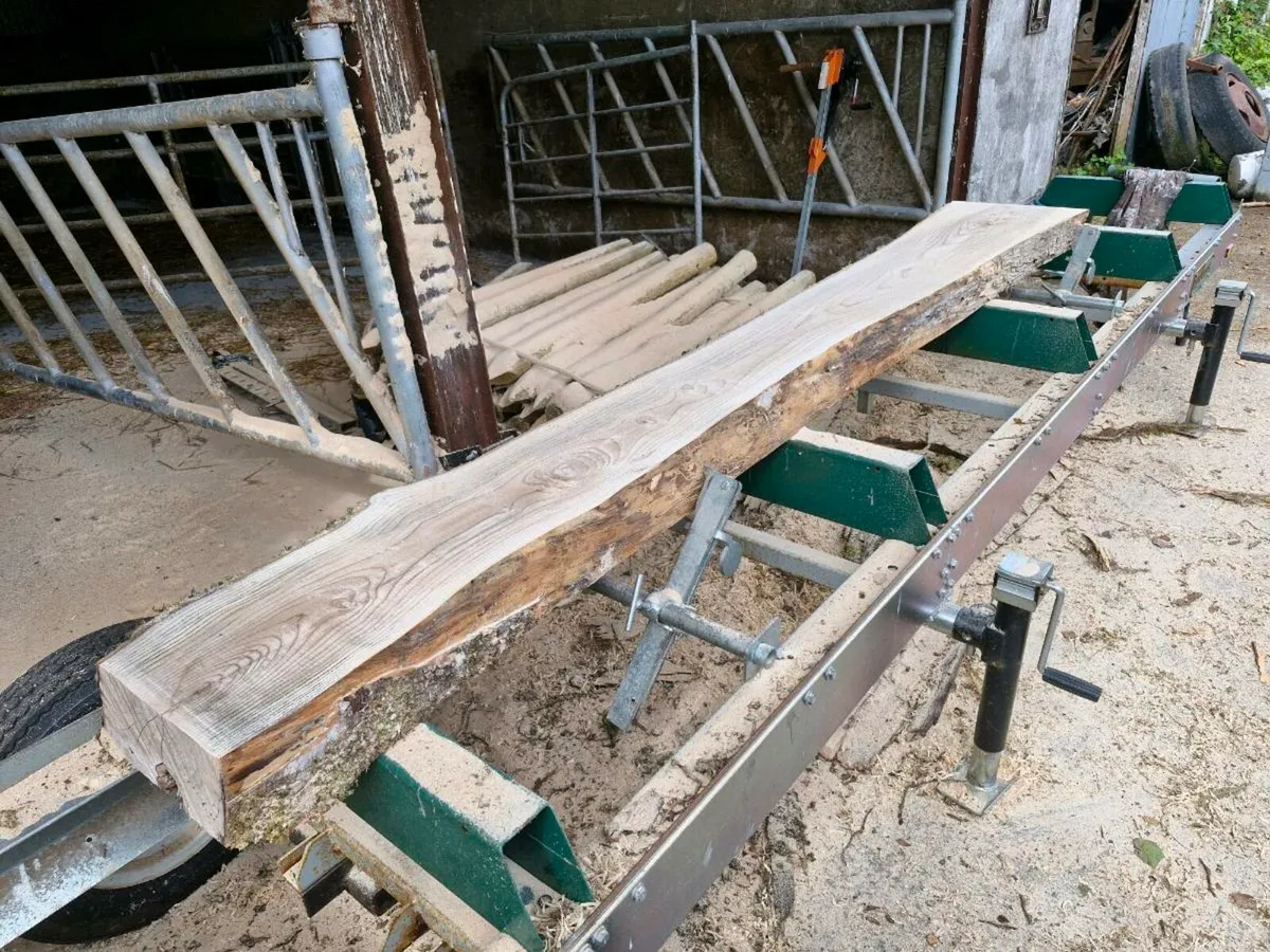 Ash boards different sizes - Image 3