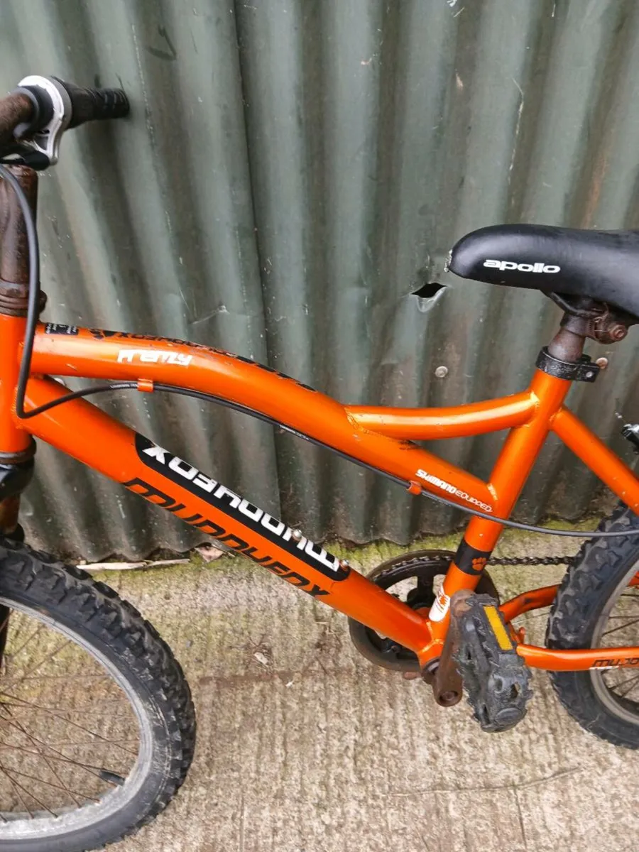 bikes - Image 3