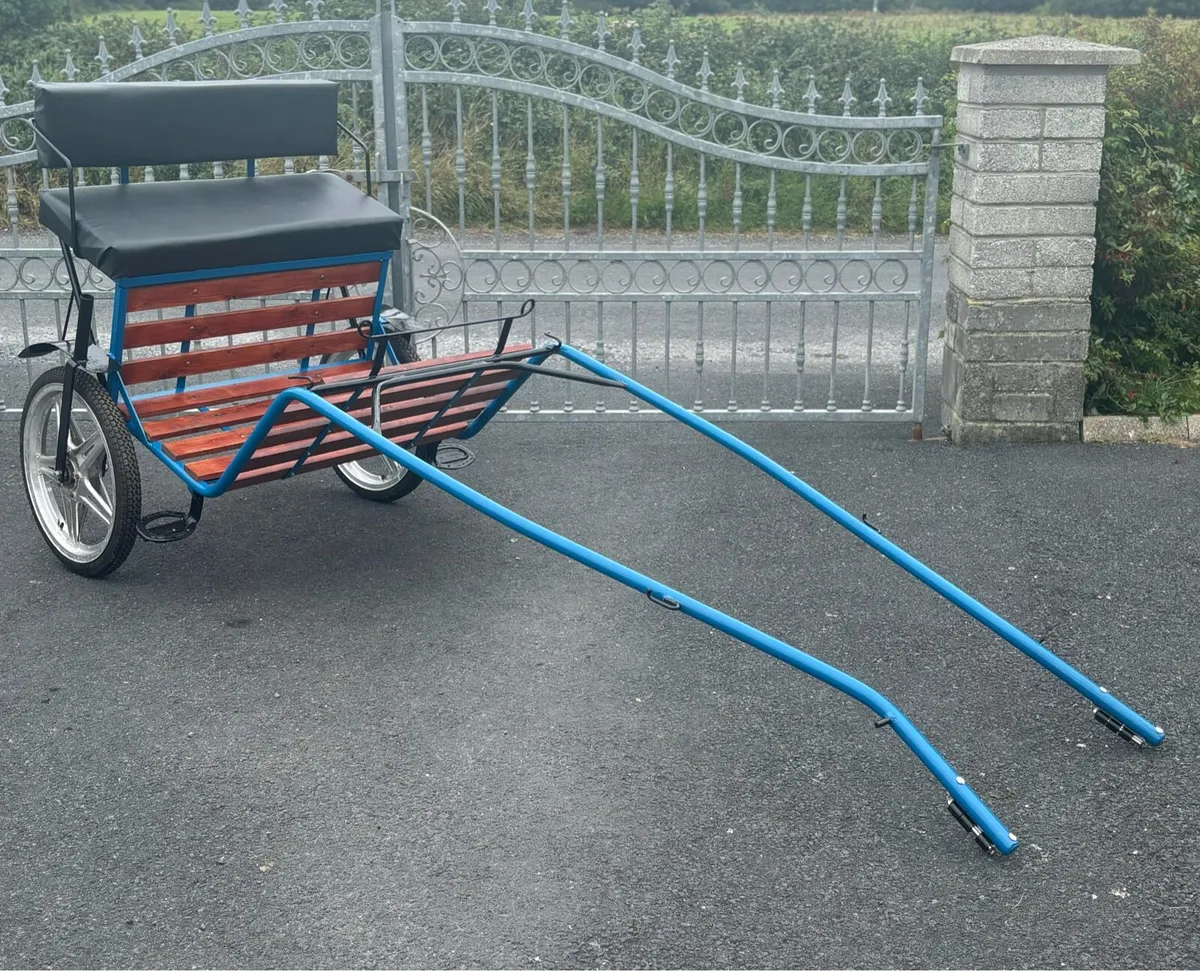 Brand new Duhig Road cart - Image 3