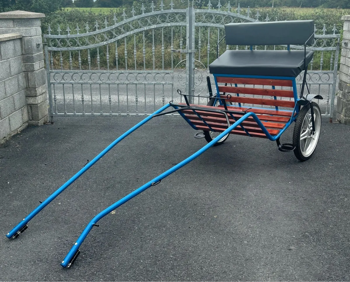 Brand new Duhig Road cart - Image 4