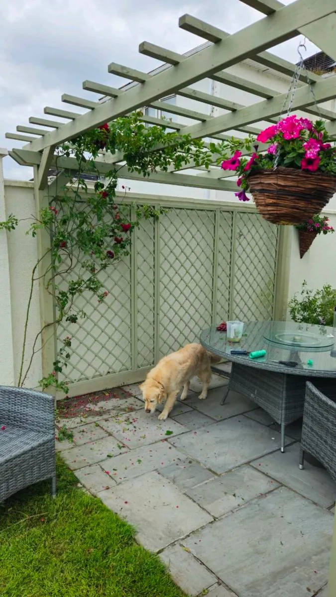 For Sale: Stunning 4m x 3m Pergola – Like New! - Image 1