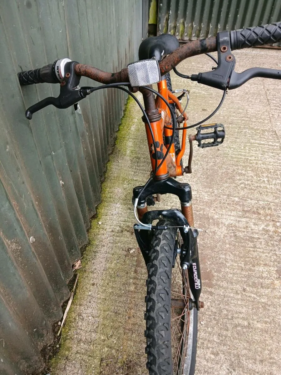bikes - Image 4