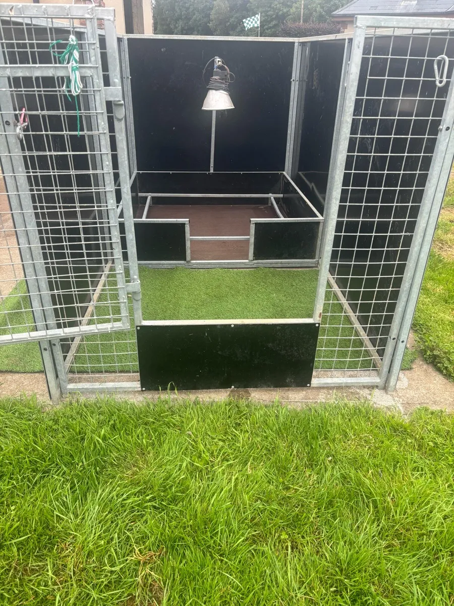 Enclosed Whelping box - Image 1