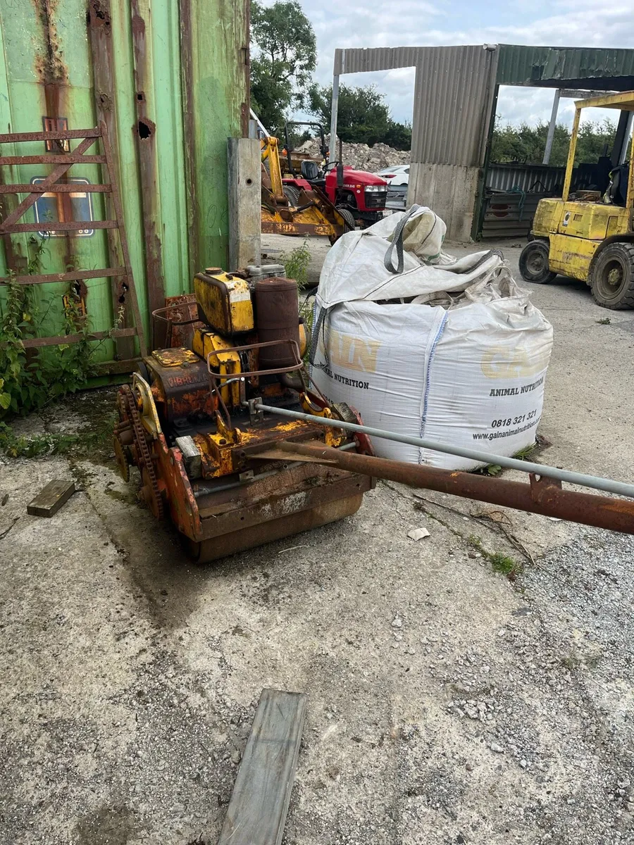 Pedestrian roller - Image 1