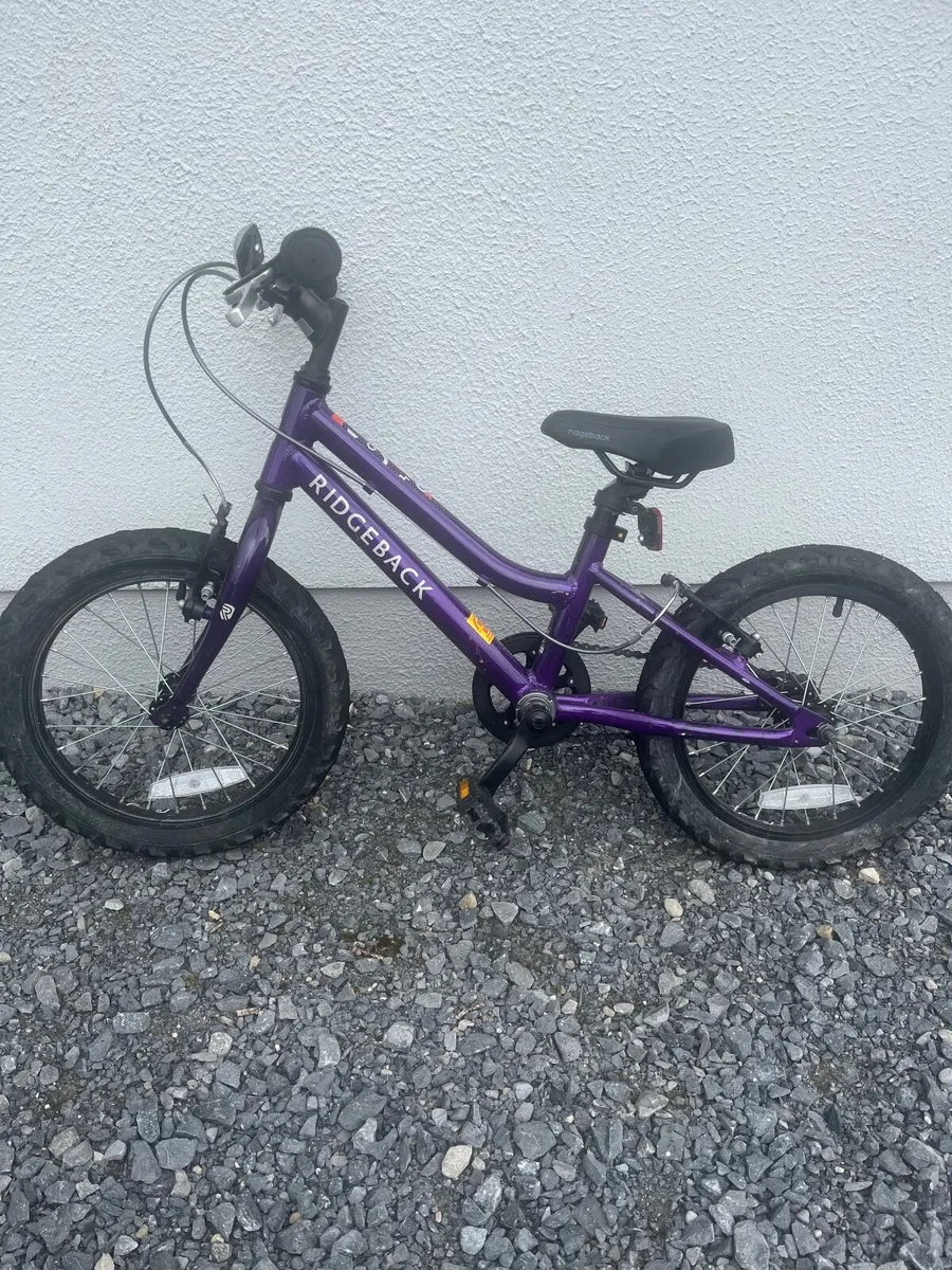 Bicycle Ridgeback - Image 1