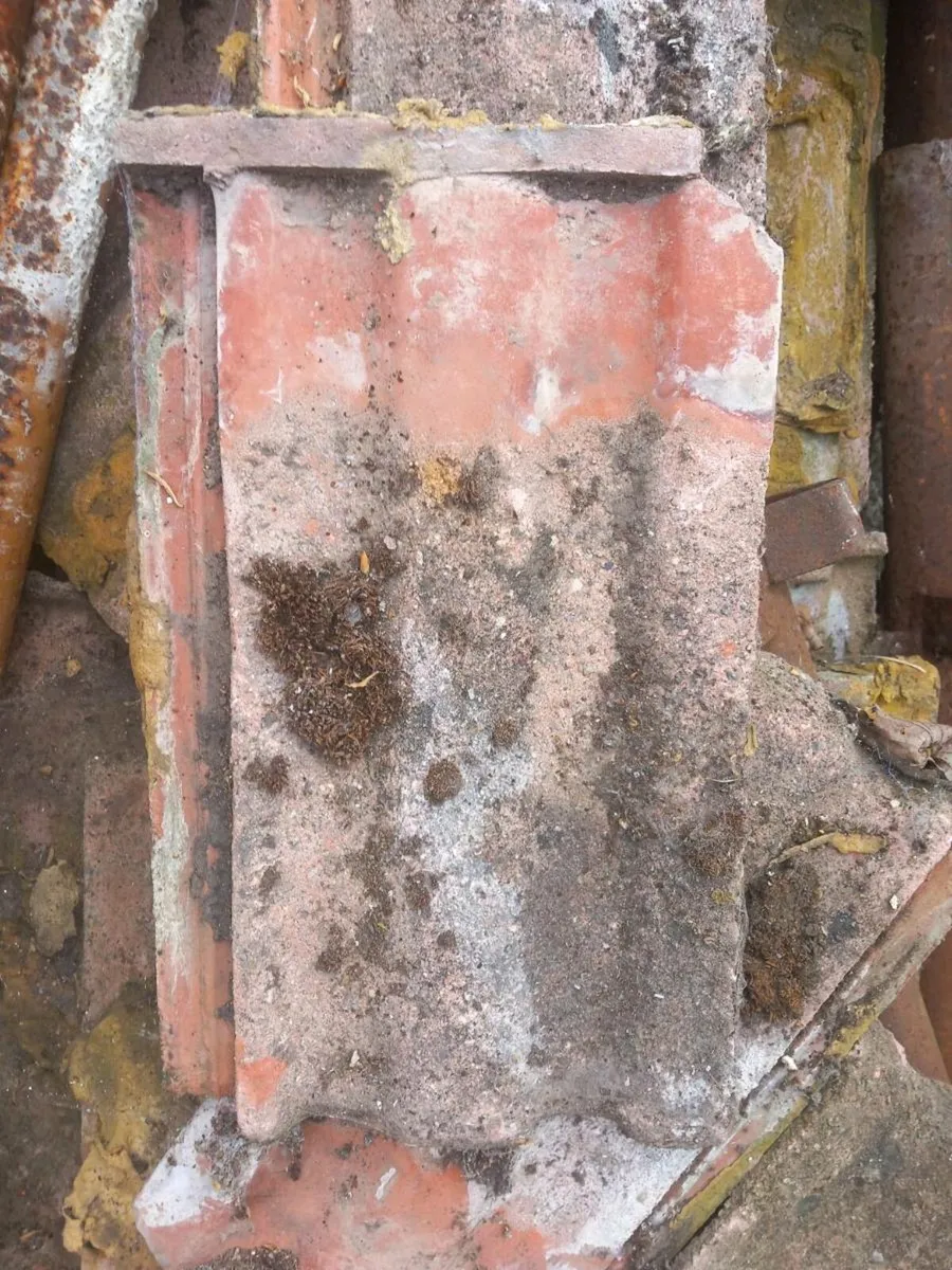 Roof tiles - Image 3