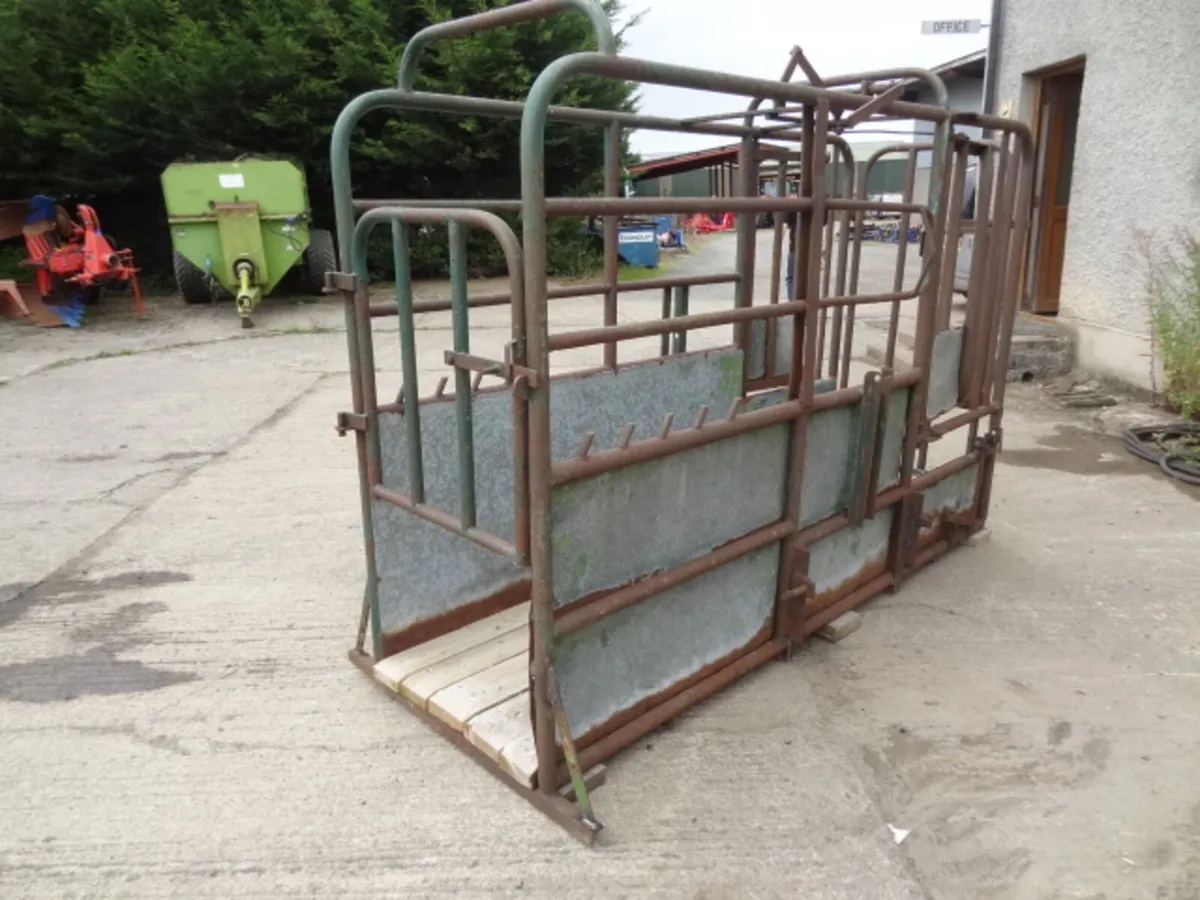 Portable Cattle Crush - Image 4