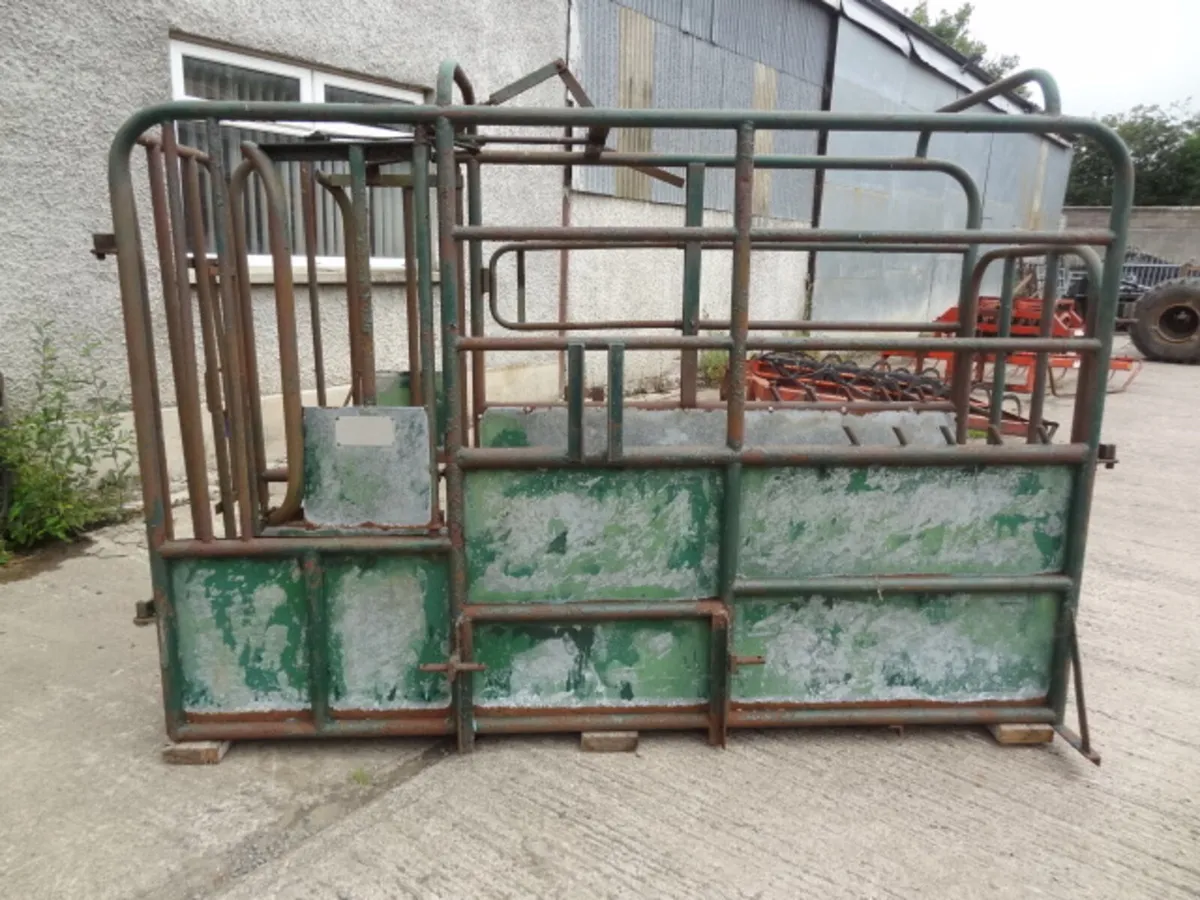 Portable Cattle Crush - Image 2