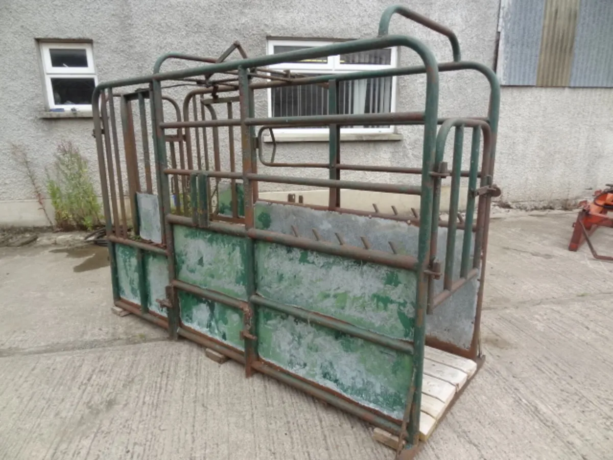Portable Cattle Crush - Image 3