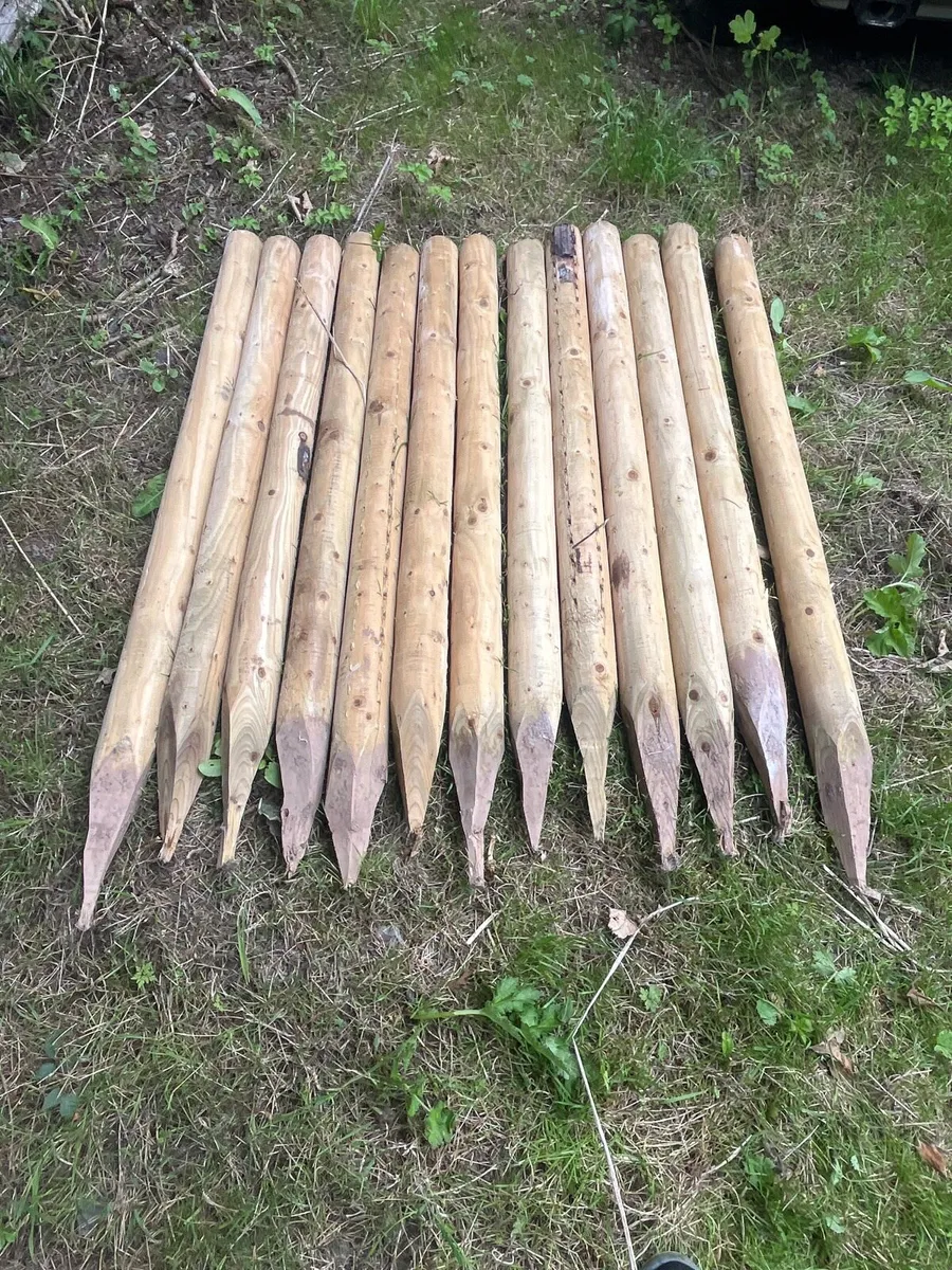 Fencing Stakes