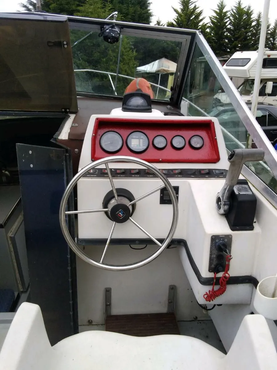 Cruiser - Image 3