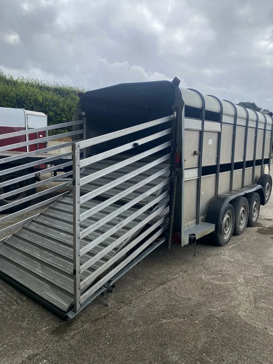 14 ft by 5-10  iforwilliams cattle/sheep box - Image 2