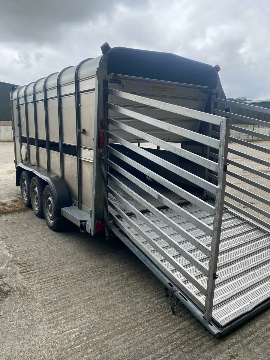 14 ft by 5-10  iforwilliams cattle/sheep box - Image 3