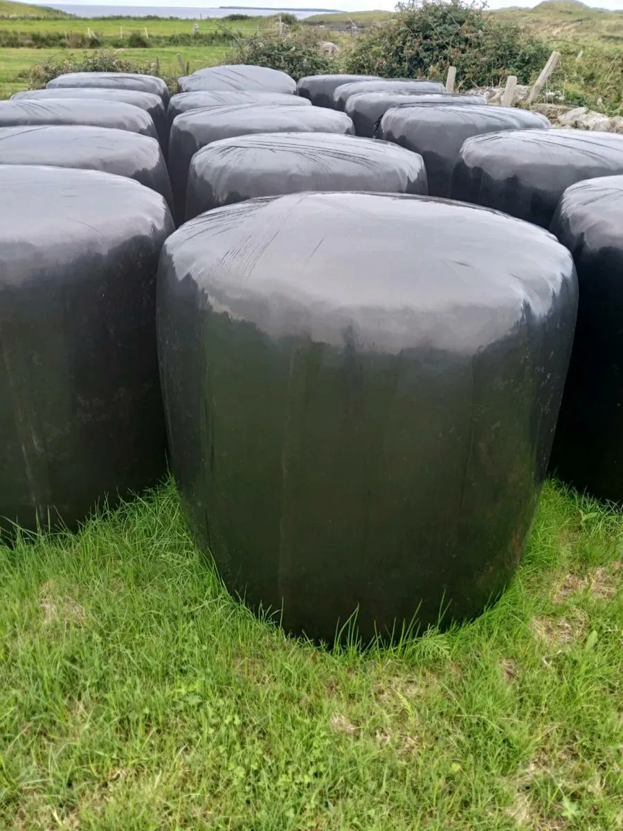 Silage
