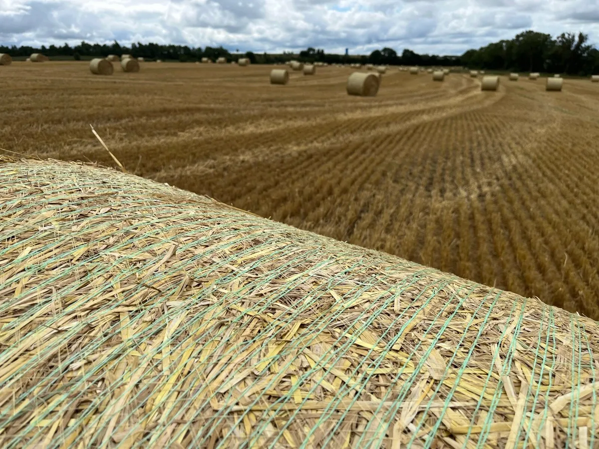 Spring barley straw - Image 2