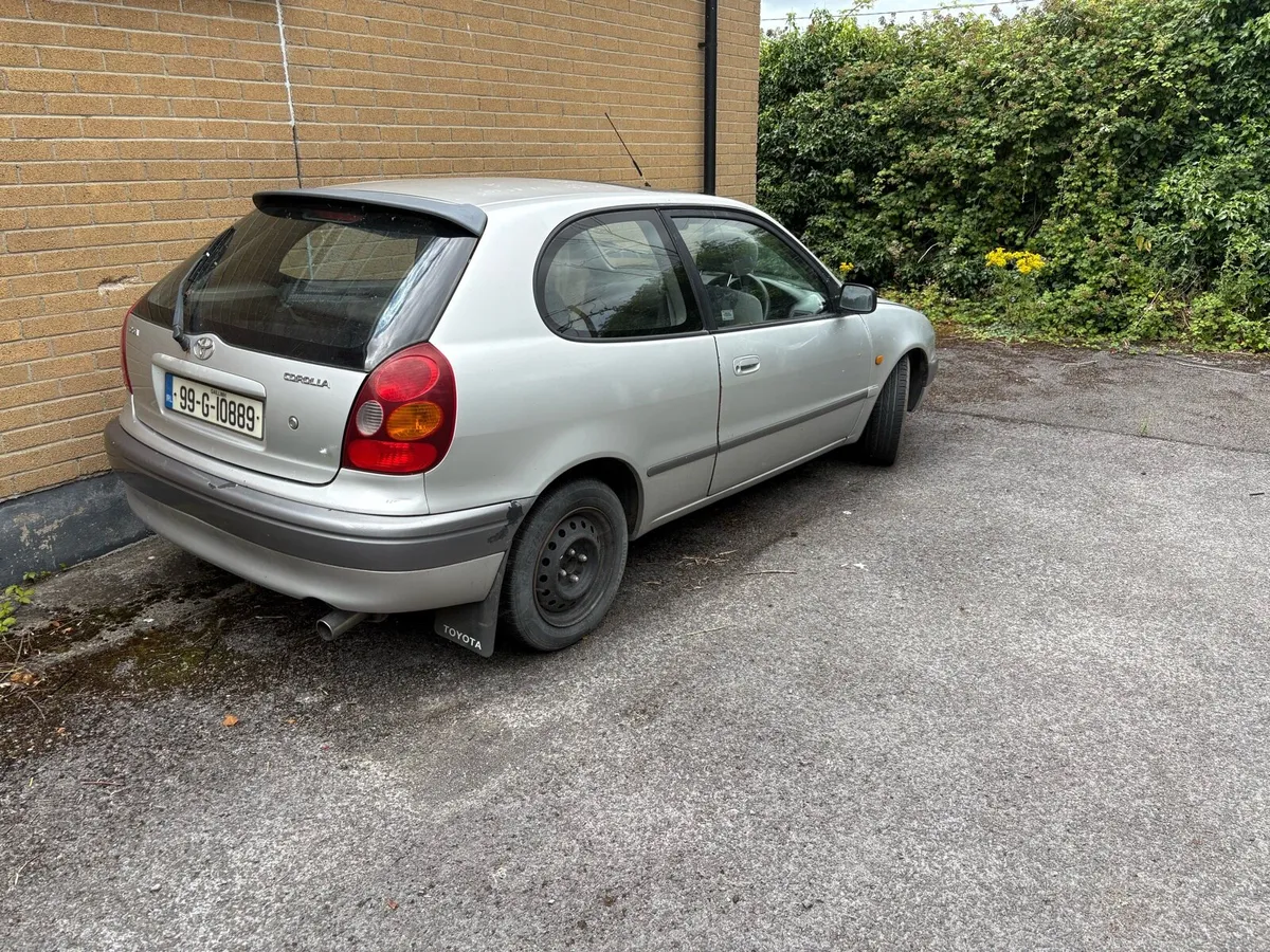Corolla - Image 1