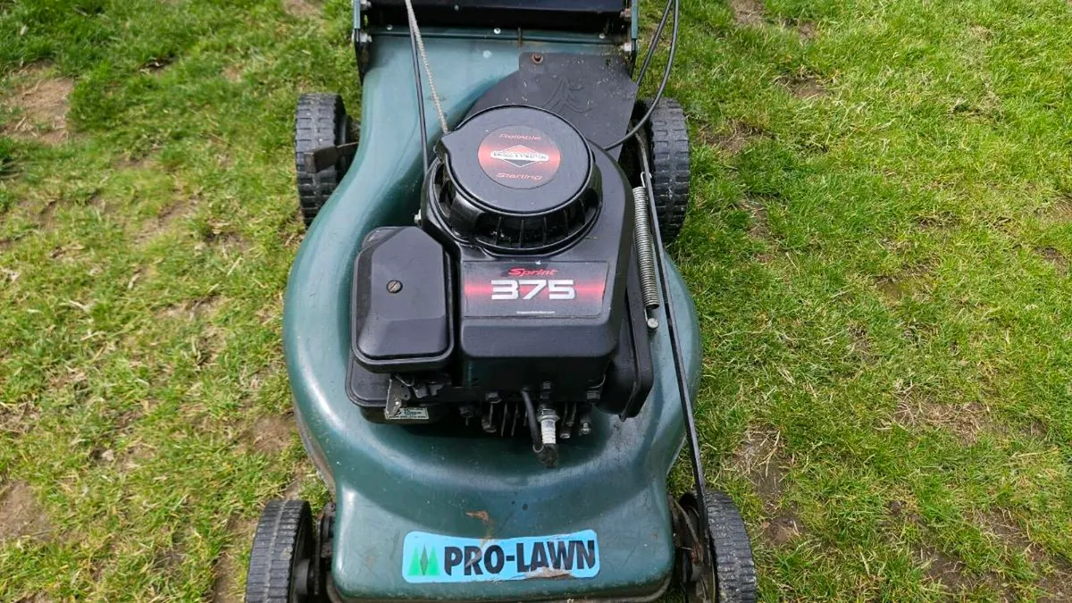 lawnmower - Image 2