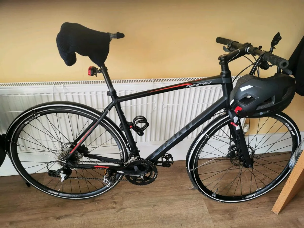 Giant Rapid bike.