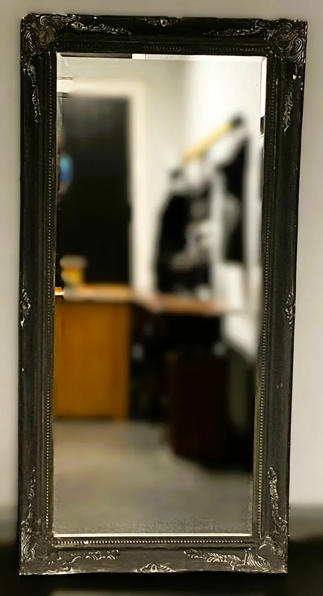 Full Length Mirror - Image 1