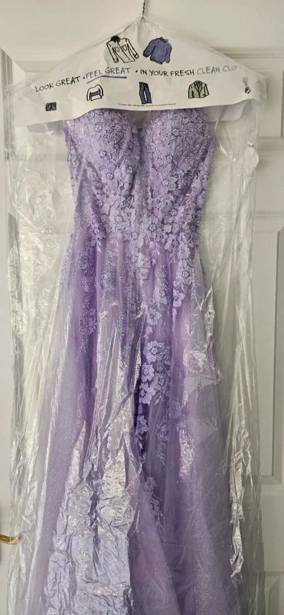 Debs / TY / Graduation Dress - Image 1