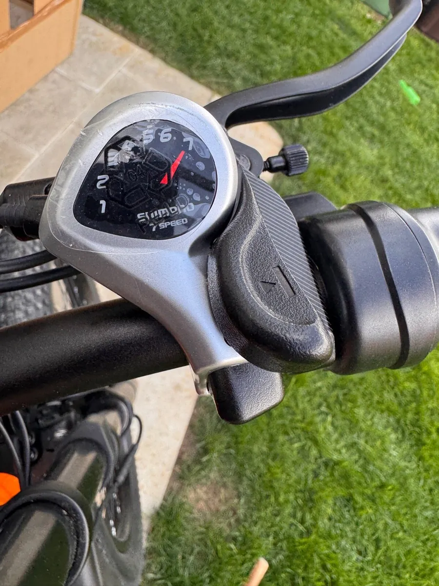 Dual Motor Electric Mountain Bike - 2000W - Image 4