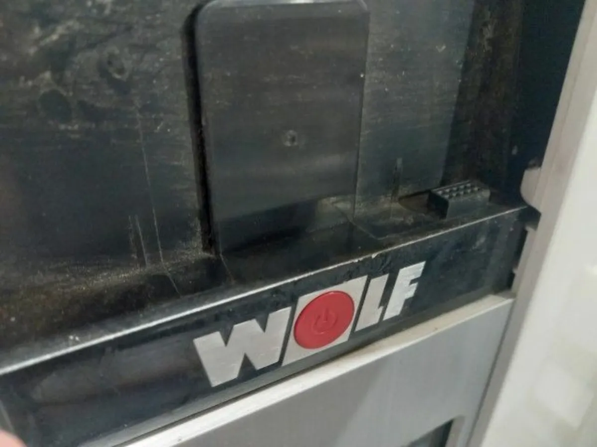 Online Auction Of A Wolf Gas Boiler & More! - Image 2