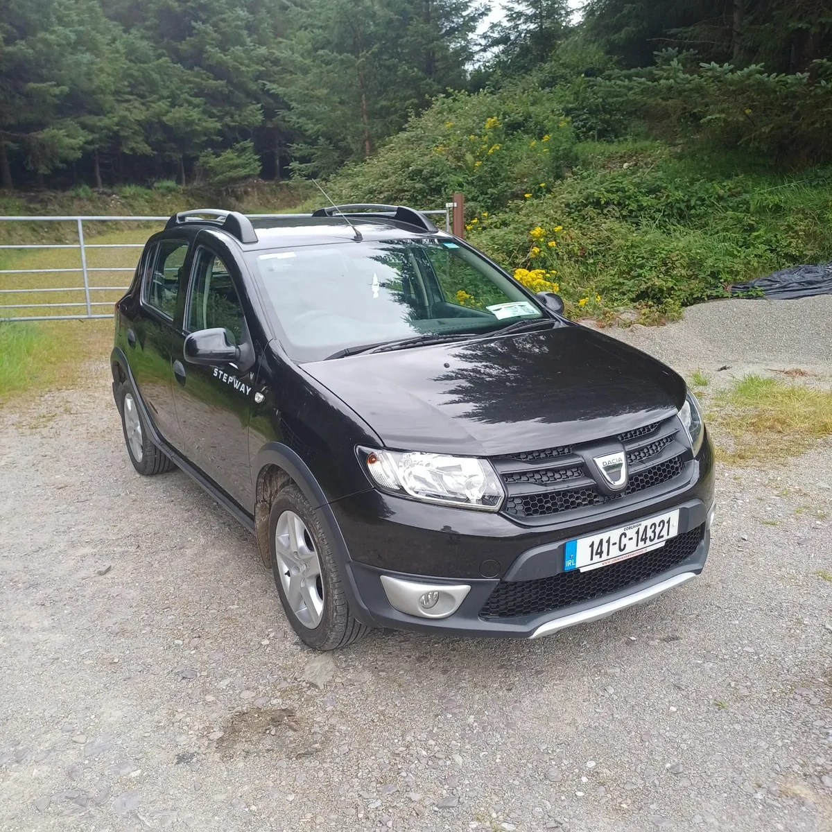 Dacia Sandero Stepway 2014 - Image 1