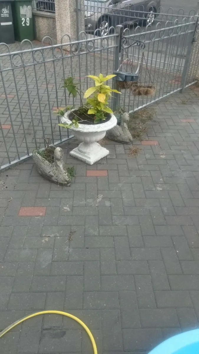 Garden ornaments - Image 4