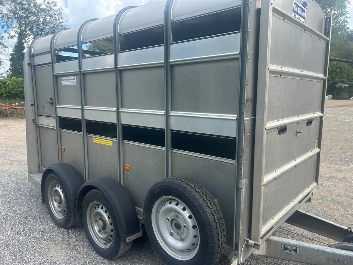 2016 Ifor Williams 10x5 Livestock with Decks - Image 2