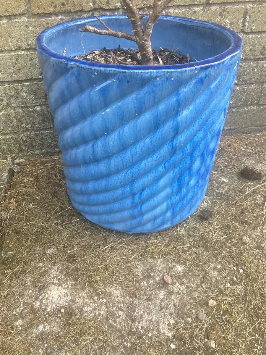 Plant Pots Pair