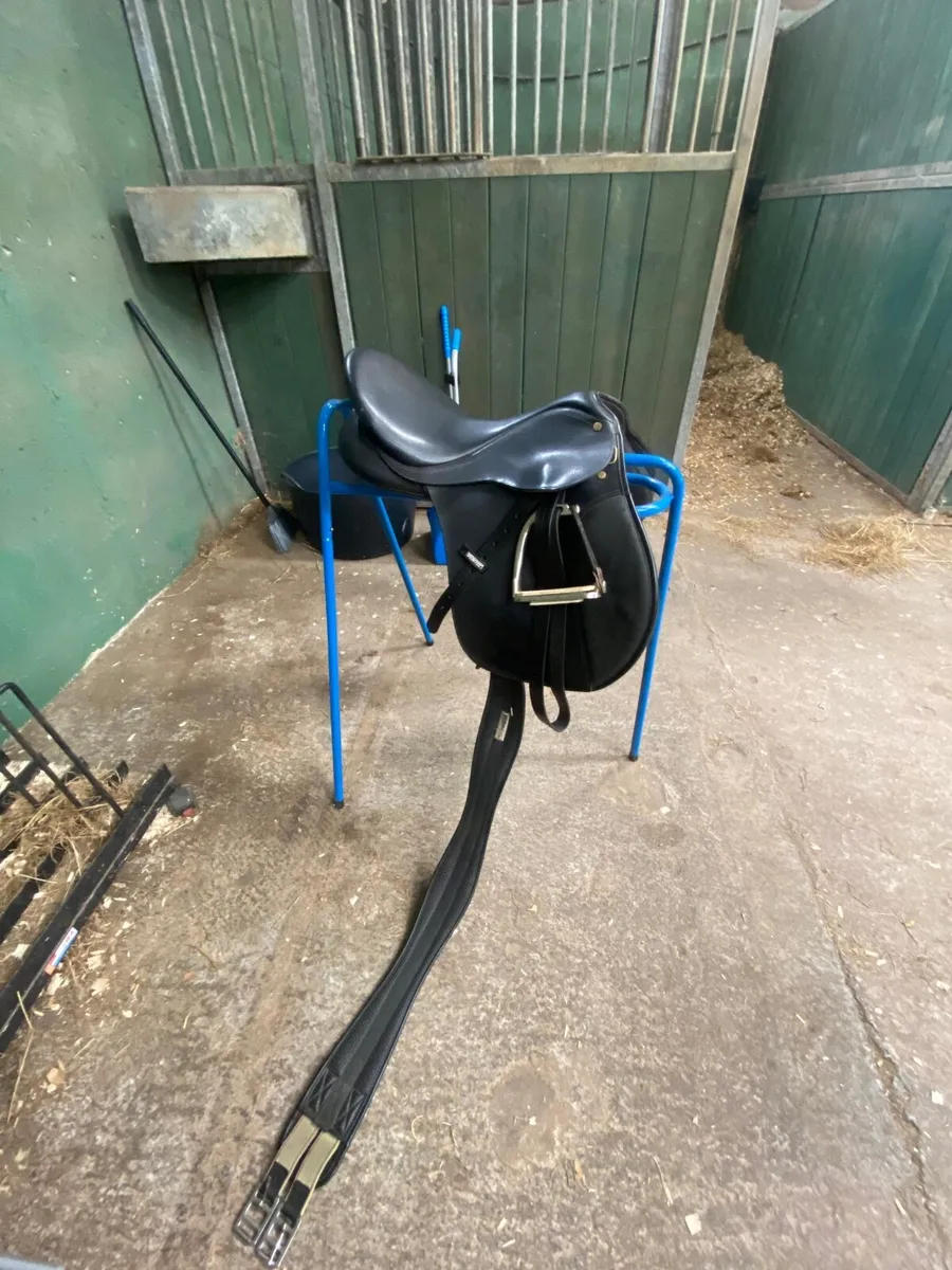 Horse tack - Image 4