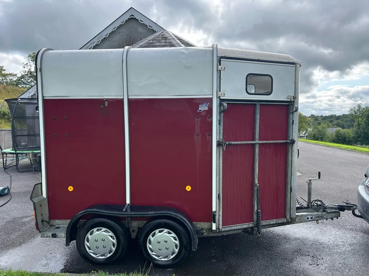 Ifor Williams HB505 Horse Box trailer - Image 1