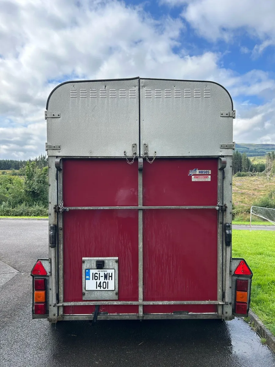 Ifor Williams HB505 Horse Box trailer - Image 2