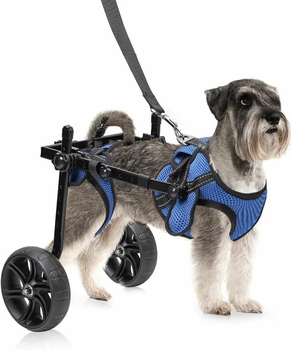 dog Wheelchair for small dogs
