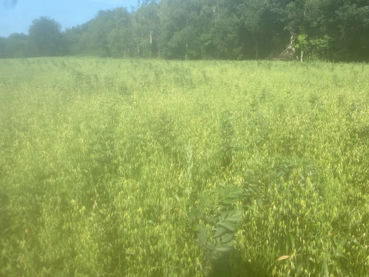 Combi Crop Arable Silage